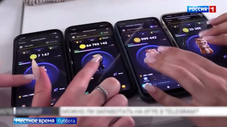 Татарстанские эксперты посоветовали отложить популярную игру с хомяком