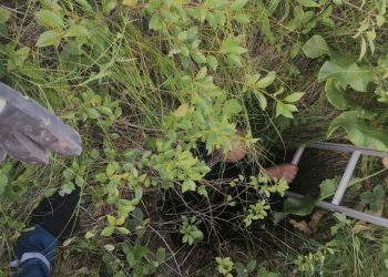 В Татарстане спасли мужчину, упавшего в колодец