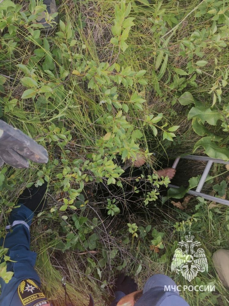 В Татарстане спасли мужчину, упавшего в колодец