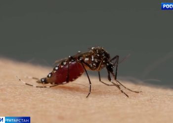 Уголовное дело возбуждено по факту схода поезда с рельс в Волгоградском районе