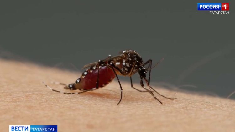 Уголовное дело возбуждено по факту схода поезда с рельс в Волгоградском районе