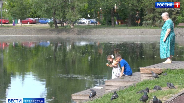 В Татарстан завезли краснокнижных соколов-балобанов