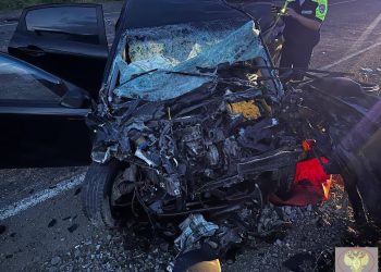 В Татарстане в ДТП с грузовиком и легковушкой погибли двое