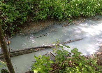 В Высокогорском районе река стала молочной из-за неочищенных стоков