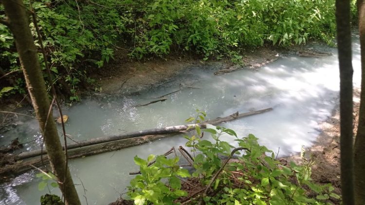 В Высокогорском районе река стала молочной из-за неочищенных стоков
