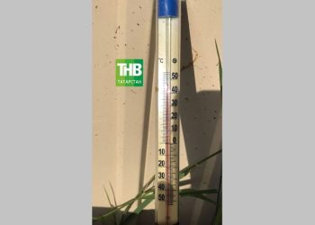 В Мамадышском районе воздух раскалился до +46 градусов