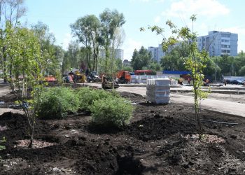 В Казани на улице Серова высадят деревья и кустарники