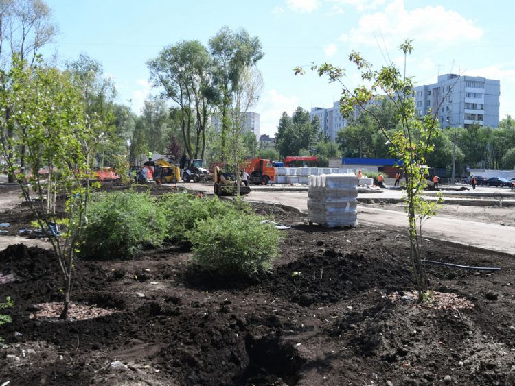 В Казани на улице Серова высадят деревья и кустарники