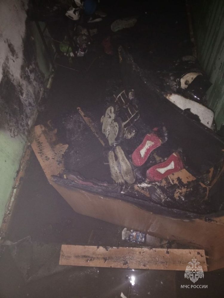 В Елабуге пожарные спасли 12 человек из горящего дома