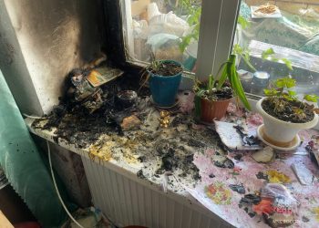 В Мамадыше пожилая женщина спаслась благодаря пожарному извещателю