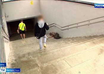 В Лаишевском районе эко-защитники просят восстановить озеро Ковалинское