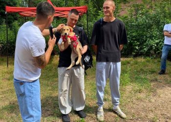 Казанцы приютили шесть собак на благотворительной акции «Лапа дружбы»