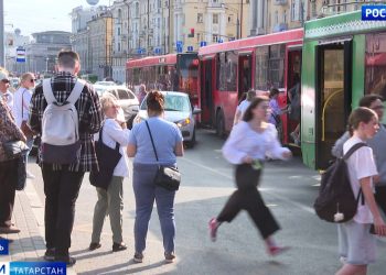 В Татарстан завезли краснокнижных соколов-балобанов