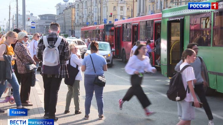 В Татарстан завезли краснокнижных соколов-балобанов