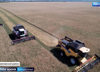 Покорить волну, устроить велогонку или пикник: как провести ярко это лето в Казани