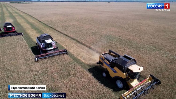 Покорить волну, устроить велогонку или пикник: как провести ярко это лето в Казани