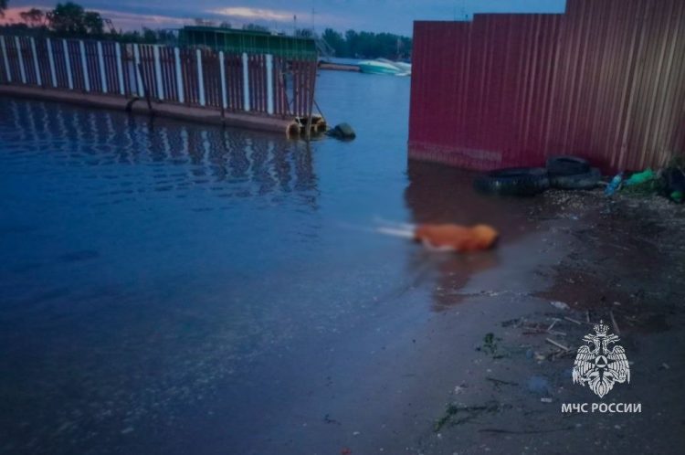 В Чистополе утонул мужчина