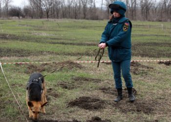Подготовленные собаки теперь могут обнаруживать БПЛА в воздухе