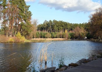 В Казани пройдет первый семейный экофестиваль «Вместе просто»