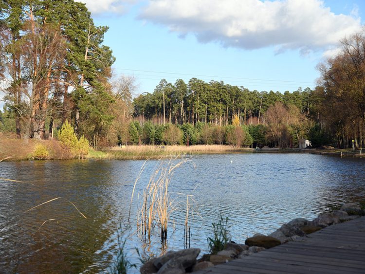 В Казани пройдет первый семейный экофестиваль «Вместе просто»