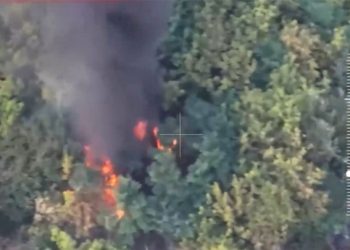 «Ланцет» уничтожил замаскированный украинский БТР в курской лесополосе