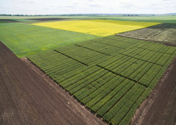 Татарстан вложил 501 млн рублей в агробиотехнопарк КГАУ