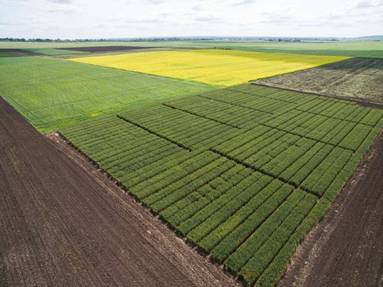 Татарстан вложил 501 млн рублей в агробиотехнопарк КГАУ