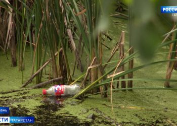 Жители Казани пожаловались на загрязнение озера Марьино