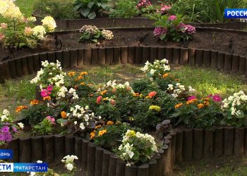 Житель Казани превратил двор многоэтажки в цветущий сад