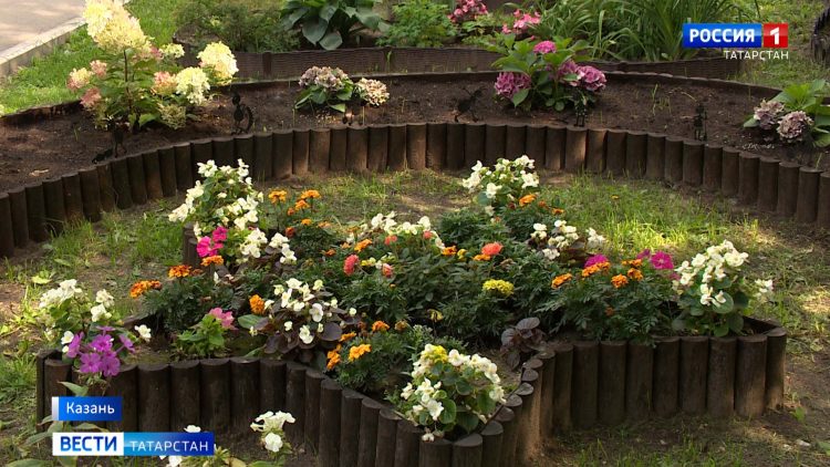 Житель Казани превратил двор многоэтажки в цветущий сад