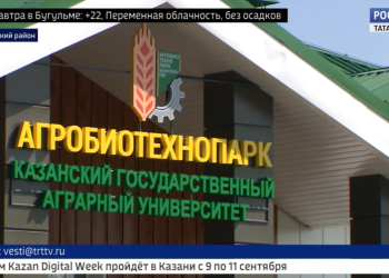 В Казани проходит первый Всероссийский форум «Русское поле – 2024»