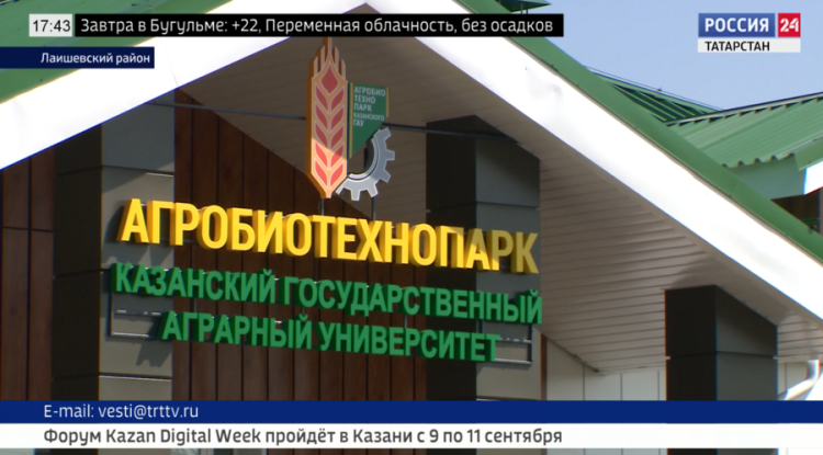 В Казани проходит первый Всероссийский форум «Русское поле – 2024»