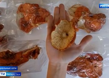 В Татарстане добились блокировки сайта по продаже запрещенных БАДов