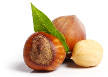 Ученые КФУ назвали районы Татарстана с наибольшим урожаем лесных орехов