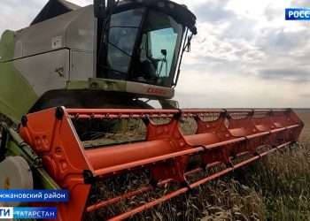 В Татарстане аграрии собрали уже более 2 млн тонн зерна