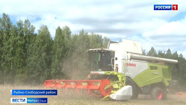 Аграрии Татарстана вновь набирают темпы после обильных осадков