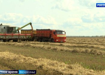 В Татарстане участники студотрядов из разных стран помогают собирать КАМАЗы