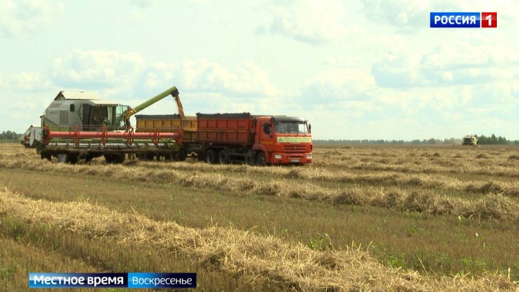 В Татарстане участники студотрядов из разных стран помогают собирать КАМАЗы