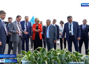 Из Татарстана в Лисичанск и Рубежное отправили 45 тонн гумпомощи