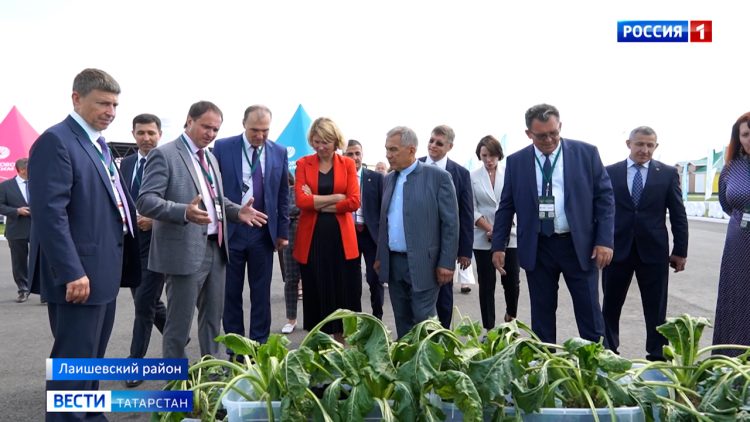 Из Татарстана в Лисичанск и Рубежное отправили 45 тонн гумпомощи