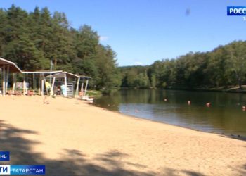 Бастрыкин взял на контроль ситуацию с жалобами на воздух в Дербышках