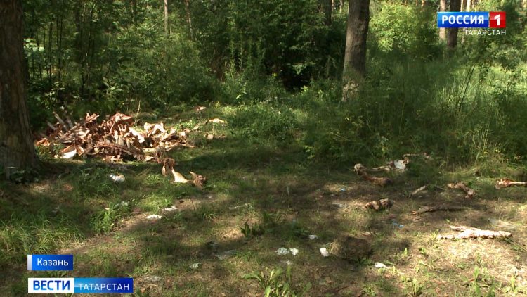 Минниханов анонсировал республиканскую программу по модернизации систем ЖКХ