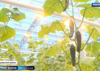 В Татарстане сборы ребенка в школу обойдутся в среднем в 15 тыс. рублей