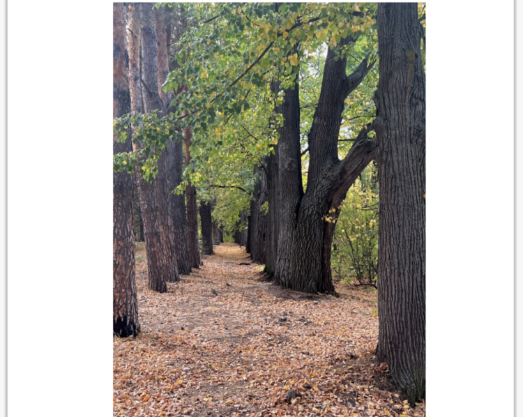 В Татарстане парк усадьбы Нарышкиных-Паулуччи внесут в список ОКН
