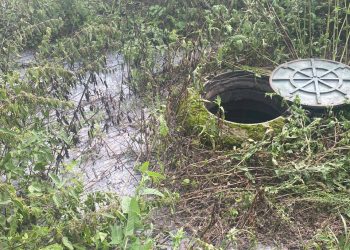 После вмешательства Прокуратуры и Минэкологии сброс неочищенных стоков в Алексеевском прекращен