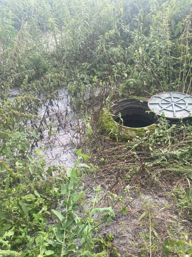 После вмешательства Прокуратуры и Минэкологии сброс неочищенных стоков в Алексеевском прекращен