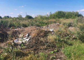 В Буинском районе экологи обнаружили незаконную свалку