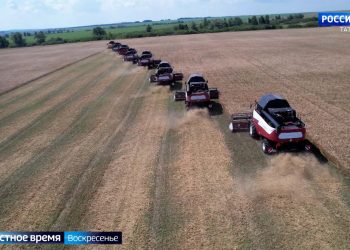 Минниханов оценил ход уборки зерновых на юго-востоке Татарстана