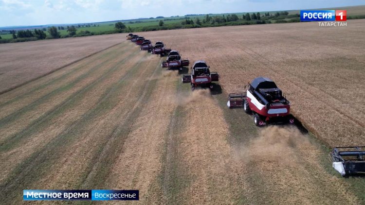 Минниханов оценил ход уборки зерновых на юго-востоке Татарстана