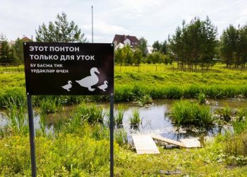 В Альметьевске на Каскаде прудов появился новый понтон для уток